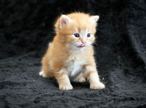 Olli am 16. März 2025